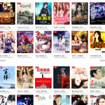 娴娴小说网站源码下载，PC+WAP自适应手机小说网站源码